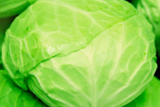【悲報】キャベツ１個の値段→現在の価格、知ってますか！？