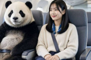 中国人「日本人と韓国人の海外旅行に対する態度が違うのはなぜ？」　中国人「日本は結構広い」「韓国の天気予報は1分しかない」