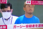 【速報】ガーシー逮捕