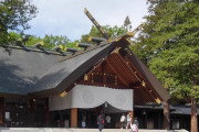 神社行ったらリスがいた