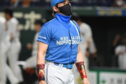【日本ハム】3年連続FA補強！日本ハムが北海道に選手を引き寄せる理由