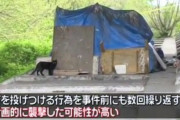 【ホームレス投石殺人】「猫たちは被害者の帰りを待っている」猫たちのためその場所で生活していた模様