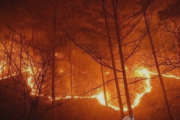 【韓国】4日から続く山火事の被害面積が2.4万ヘクタール越え　過去最悪に  [動物園φ★]
