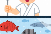 魚のうまい街←こんな街存在するの？