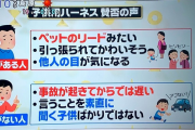 【画像】日本人さん、子供に紐をつけるかつけないかで世論が真っ二つに分かれ大喧嘩←どっちが正しいの？