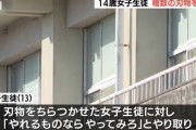 女子中学生「刃物ﾁﾗｯ」男子「やれるもんならやってみろ！」女子「ｸﾞｻｯ」男子「えっ」