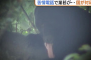 クマ駆除に「武器を使うのは卑怯」「素手で対応しろ」など…新潟にも数十件の“苦情電話