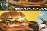 【画像】マクドナルドの来週発売の期間限定バーガーがこちらです
