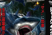 【予約開始】日本サメ映画学会が推薦！本格サメ映画サバイバルカードゲーム『シャークインパクト』が11月18日に発売ｗｗｗｗ　Amazonで予約スタート