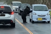 【動画】知床にて、ヒグマが運転中の車に襲いかかる恐怖映像がヤバすぎる・・・