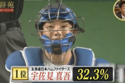 【球辞苑】日ハム宇佐見、2022年「3球で打ち取っている捕手」No.1