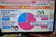 【悲報】マスコミさん、意味不明な円グラフを作ってしまうｗｗｗｗｗｗｗｗ