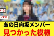 あの日向坂メンバーが、めちゃくちゃ見つかってる模様【日向坂46】