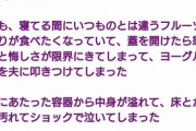 妻「この画像みてみて！」夫「……これは日本の全男性が見たほうがいい」←絶賛の嵐