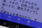 学校から届くメールに不審者の特徴が書かれていた。私、母「キモいねー」父「えーこれ俺じゃん」私、母「！？」