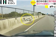 愛知県　走行中の車にドローン直撃　持ち主は逃走中　  [5/25]