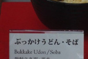 中国人「日本人が食ってる『ぶっかけうどん』とかいう料理がヤバい」　中国の反応