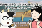 「百姓貴族」34話感想 鳥を語るなら鳥インフルエンザは避けて通れぬ、という真面目な回！シカによる被害がクマなどより桁違いという事実！！(3rd Season 第6話 実況まとめ)