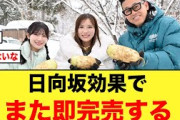 【即完売】恐るべし日向坂46効果！！おひさま「またやっちゃいました？」【河田陽菜/森本茉莉】