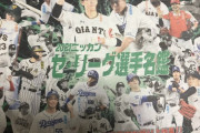 日刊スポーツさん、選手名鑑の表紙に阪神荒木を起用