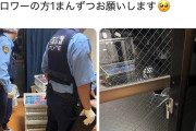 【画像】ポケカ転売ヤー、2000万円を盗まれて泣く