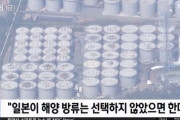 韓国政府、日本の放射能汚染水放流の可能性を受けてIAEAに協力を要請＝韓国の反応