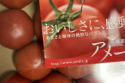 ワイ上級トマトを買う！！！