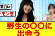 【日向坂46】河田陽菜さん野生の〇〇と出会うw