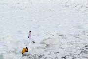 【北海道】「流氷の上を歩くことが危険なのは知らなかった」　落ちれば致命的　流氷に乗るのはやめて！海保と網走市が注意喚起