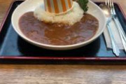 山道の落石でしばらく通行止めだった道の駅に来たんですけど、「落石カレー」と銘打ってコレを売り出してて唸ってしまった