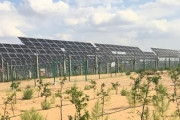 【朗報】中国父さん、砂漠に太陽光発電置いた結果大変なことになるｗｗｗ