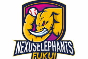 【野球/独立リーグ】福井ネクサスエレファンツ運営会社「何としてでも続けていきたい思いはあった」　1年での撤退陳謝、理由も説明