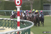 【競馬/中山記念】サトノアレスとはなんだったのか…