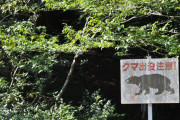 【クマ出没注意】先月以降、全国で計63人がクマに襲われケガ…うち2人が死亡