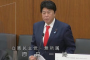 立憲・原口氏、アレ言及「お前が言っているのはズレているけど、カツラもヅレているぞ」など差別があったため