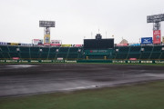 本日の阪神×広島オープン戦は雨天中止