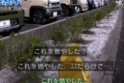 【画像あり】ビッグモーターさん、やはり街路樹を焼き尽くしていた