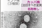 【コロナ】すれ違っただけで感染、「カッパ株」や「デルタ株」　驚愕の感染力