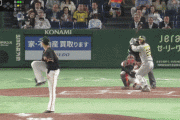 巨人１ー２阪神　４回表　渡邉諒　移籍後初スタメン初ヒットが初ホームラン