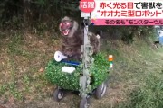 韓国人の反応「日本の畑に「モンスターウルフ」というバケモノがいることに韓国から驚きの声」