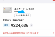 ワイの12月のクレカ請求額ｗｗｗ