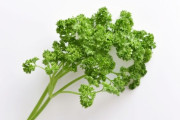 ３大これ好きなヤツ絶対嘘やろ？って食べ物「パクチー」「パセリ」