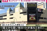 大阪のドンキ屋上から買い物カート落とす「遊び半分でやった」中2女子を逮捕
