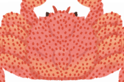 ズワイガニと毛蟹ってどっちが美味い？？？？？？？？？