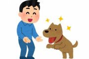 獣医師「今の季節、昼間に犬を外で運動させるのは本当に、本当にやめてください。」