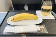 日本の航空会社がヴィーガンに提供した食事が海外で話題に（海外の反応）