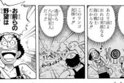 【画像】ワンピースの正体、ガチで序盤に出てきていた