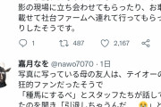 ウマ娘民「母親がトウカイテイオーの馬主に牧場に連れて行ったもらった」