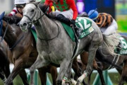 【秋華賞】丹内が落馬負傷でコガネノソラ坂井瑠星に乗り替わり