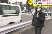 【医療崩壊】世田谷で車に跳ねられた小学生、病院がコロナ患者でいっぱいで死亡?